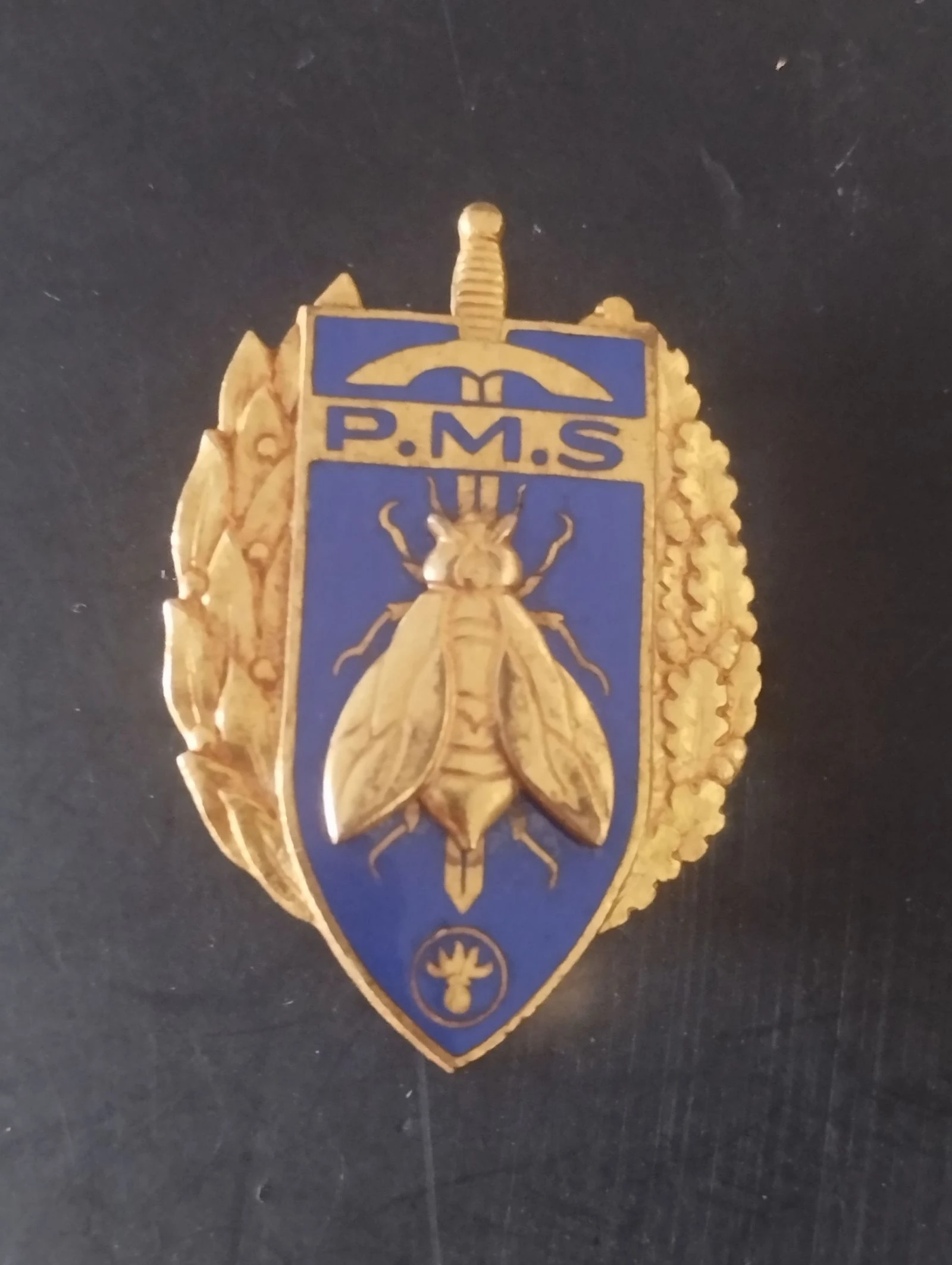 Insigne Militaire PMS France - Drago Paris G.1061 (Original)